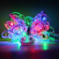 O20 led pixel string ball lights hanging decorations  make magic effects